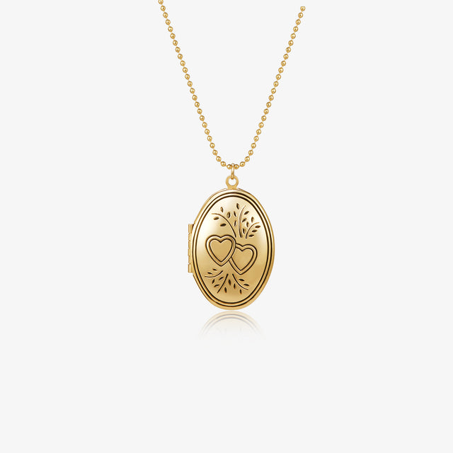 Double Heart Locket Necklace on white background